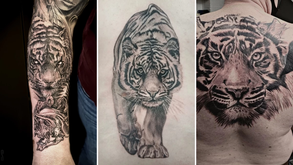 Amazing Snake Tiger Tattoo Design - TattooVox Professional Tattoo Designs  Online